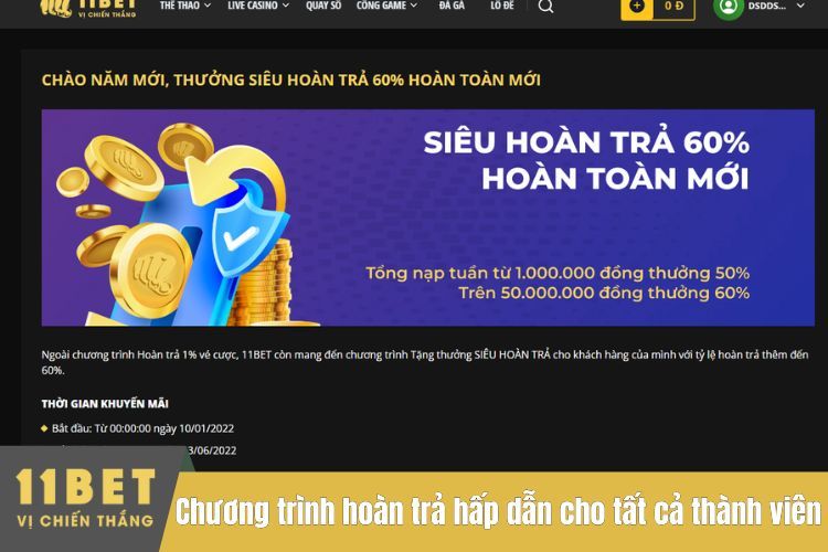 Chương trình hoàn trả hấp dẫn cho tất cả thành viên